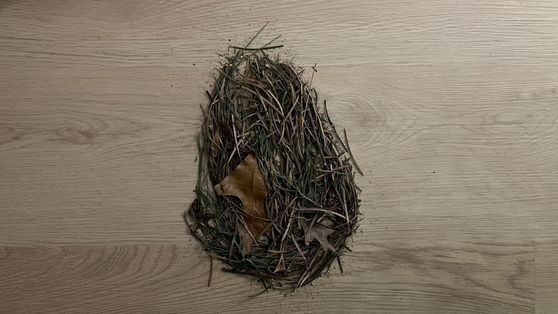 egg
