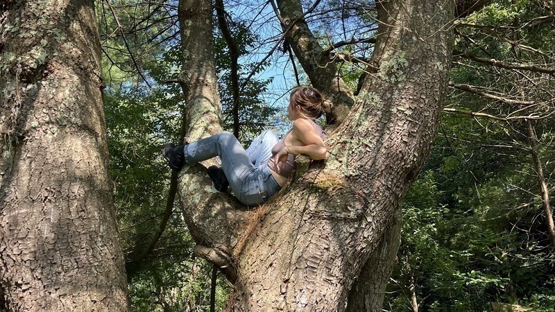 tree tree